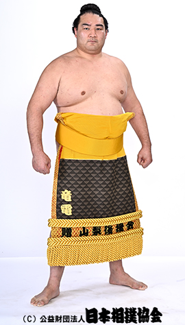 竜電 剛至 力士プロフィール 日本相撲協会公式サイト