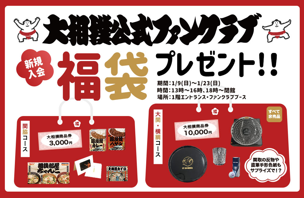 お買い得4個パック 令和三年 大相撲初場所 14日目チケット 1月17日取り下げ予定 即納木のおもちゃ 相撲 武道 Rustavi Gov Ge