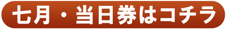 星取表 日本相撲協会公式サイト