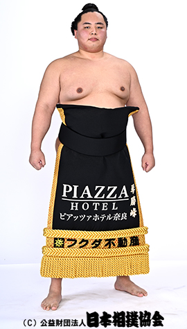 琴勝峰 吉成 力士プロフィール 日本相撲協会公式サイト