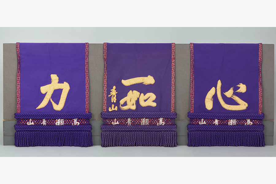 玉の海正洋 化粧廻し