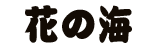はなのうみ
