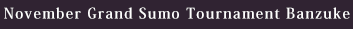 大相撲十一月場所 番付表 大相撲十一月場所 番付表